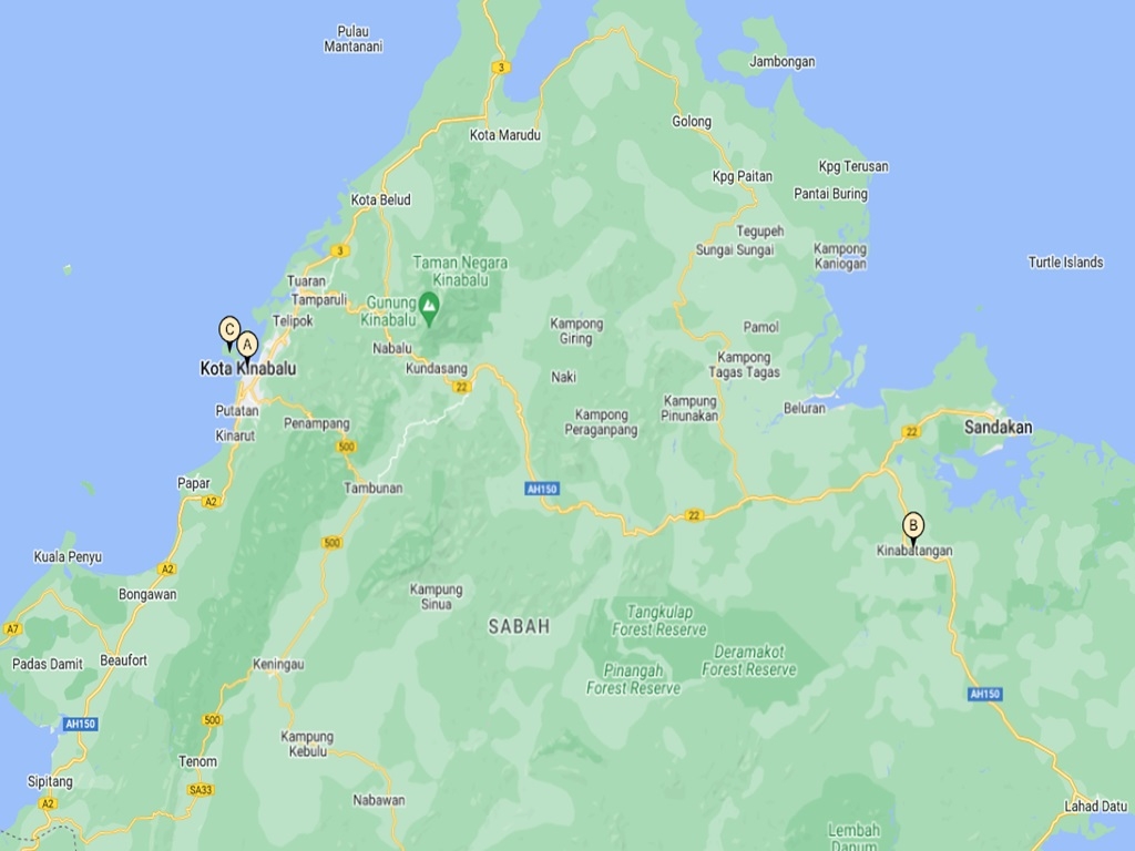 Kota Kinabalu, Orangutang Search & Gaya Island