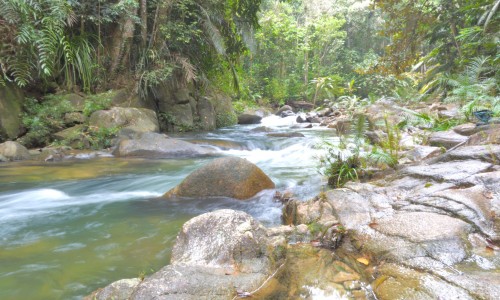 Rompin Rainforest Lodge - En skjult skat i en mindre kendt regnskov